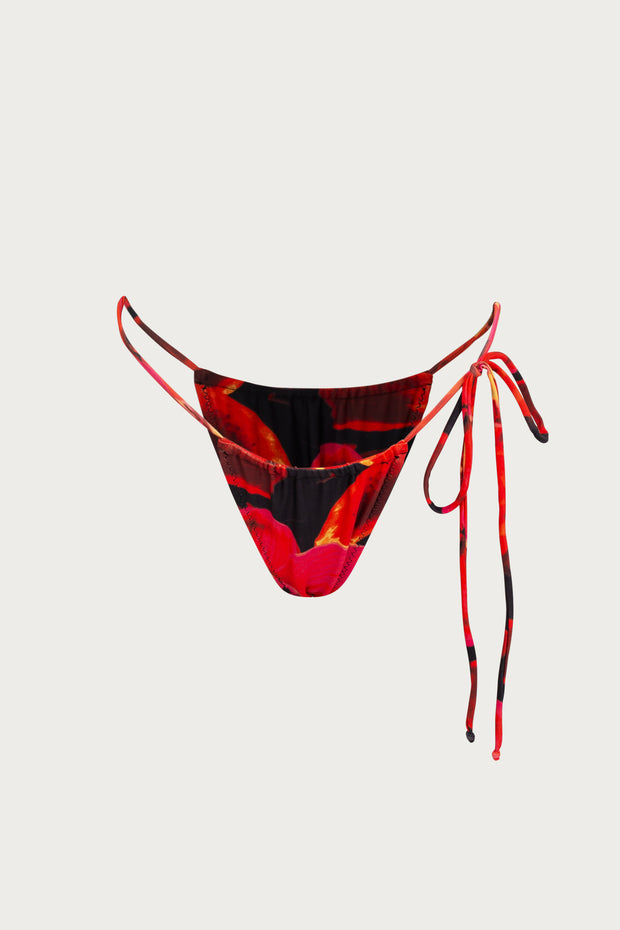 String Bottom (Red Tropical)