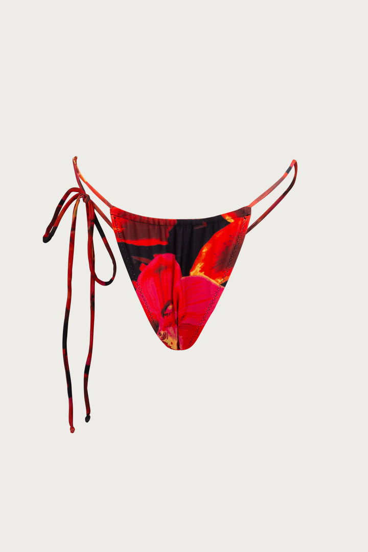 String Bottom (Red Tropical)